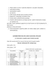 “Pirmosios Kregždutės” darbo proceso analizė 12 puslapis