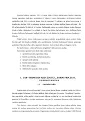 “Pirmosios Kregždutės” darbo proceso analizė 3 puslapis