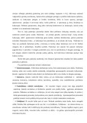 “Pirmosios Kregždutės” darbo proceso analizė 6 puslapis