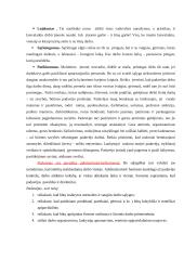 “Pirmosios Kregždutės” darbo proceso analizė 7 puslapis