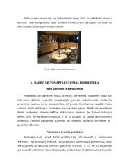 “Pirmosios Kregždutės” darbo proceso analizė 9 puslapis