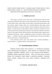 “Pirmosios Kregždutės” darbo proceso analizė 10 puslapis