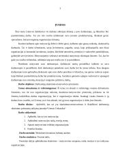 Darbuotojų motyvavimo priemonių taikymas įmonėje „Utenos trikotažas“ 3 puslapis