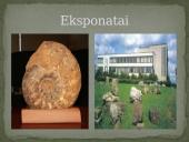 Juozas Dalinkevicius 5 puslapis
