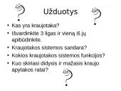 Kraujotakos sistema skaidrės 12 puslapis