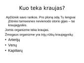 Kraujotakos sistema skaidrės 6 puslapis