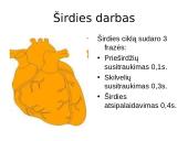 Kraujotakos sistema skaidrės 8 puslapis