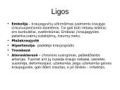 Kraujotakos sistema skaidrės 9 puslapis