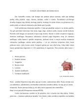 Uoslės pojūtis, kvapo suvokimas 3 puslapis