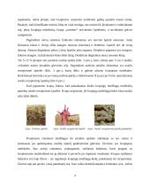 Uoslės pojūtis, kvapo suvokimas 4 puslapis