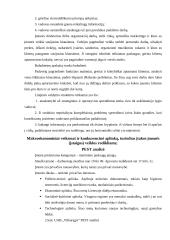 Praktikos ataskaita įmonėje UAB Vilkaragis 11 puslapis