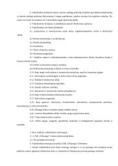 Praktikos ataskaita įmonėje UAB Vilkaragis 13 puslapis