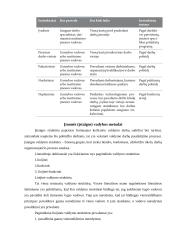 Praktikos ataskaita įmonėje UAB Vilkaragis 10 puslapis