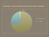 Įmonės Hesburger pristatymas 13 puslapis