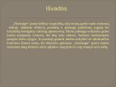 Įmonės Hesburger pristatymas 14 puslapis