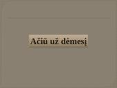 Įmonės Hesburger pristatymas 16 puslapis