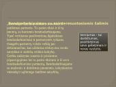 Įmonės Hesburger pristatymas 7 puslapis