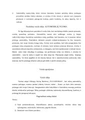 Verslo idėjos gyvybingumas 2 puslapis