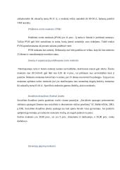 Verslo idėjos gyvybingumas 11 puslapis