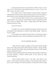 Verslo idėjos gyvybingumas 12 puslapis