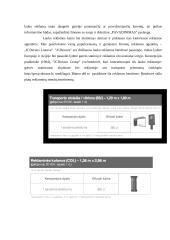 Verslo idėjos gyvybingumas 13 puslapis