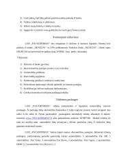 Verslo idėjos gyvybingumas 3 puslapis