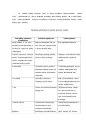 Verslo idėjos gyvybingumas 4 puslapis