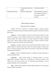 Verslo idėjos gyvybingumas 5 puslapis