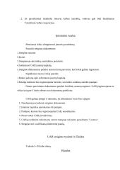 Verslo idėjos gyvybingumas 9 puslapis