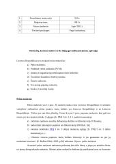 Verslo idėjos gyvybingumas 10 puslapis