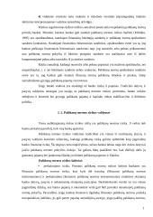 Palūkanų rizikos mažinimo metodai 11 puslapis