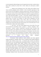 Palūkanų rizikos mažinimo metodai 12 puslapis