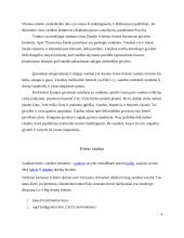 Chemijos referatas apie vandenį 2 puslapis