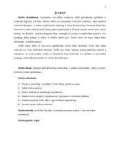 Antrepreneriškos verslo idėjos pristatymas 2 puslapis