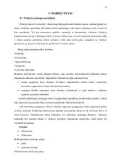 Antrepreneriškos verslo idėjos pristatymas 11 puslapis