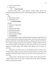 Antrepreneriškos verslo idėjos pristatymas 12 puslapis