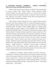 Antrepreneriškos verslo idėjos pristatymas 13 puslapis