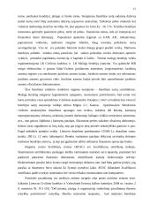 Antrepreneriškos verslo idėjos pristatymas 17 puslapis