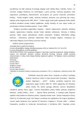 Antrepreneriškos verslo idėjos pristatymas 18 puslapis