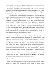 Antrepreneriškos verslo idėjos pristatymas 19 puslapis