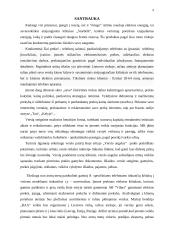 Antrepreneriškos verslo idėjos pristatymas 3 puslapis