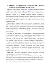 Antrepreneriškos verslo idėjos pristatymas 5 puslapis