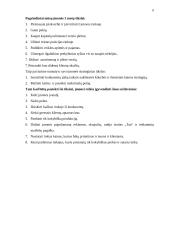 Antrepreneriškos verslo idėjos pristatymas 6 puslapis