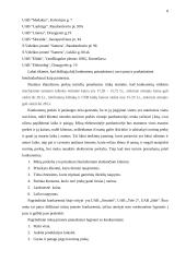 Antrepreneriškos verslo idėjos pristatymas 8 puslapis