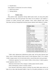 Antrepreneriškos verslo idėjos pristatymas 9 puslapis