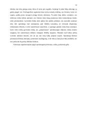 Antrepreneriškos verslo idėjos pristatymas 10 puslapis