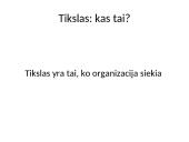 Viešųjų organizacijų tikslai ir efektyvumas. Vadovavimas viešosioms organizacijoms 2 puslapis