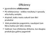 Viešųjų organizacijų tikslai ir efektyvumas. Vadovavimas viešosioms organizacijoms 12 puslapis