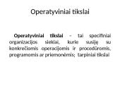 Viešųjų organizacijų tikslai ir efektyvumas. Vadovavimas viešosioms organizacijoms 5 puslapis