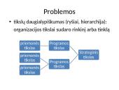 Viešųjų organizacijų tikslai ir efektyvumas. Vadovavimas viešosioms organizacijoms 6 puslapis